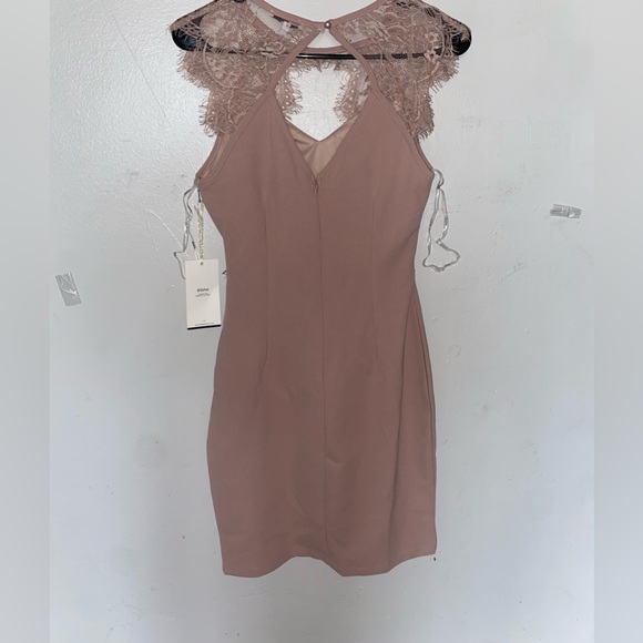 NEW color Nude : Sheer Lace Cutout Mini Dress (Knit) - Picture 4 of 4
